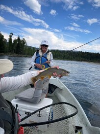 Nice Cutty on the Snake