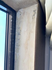 Mold stains under the wallpaper that was peeling, chalky, and falling off