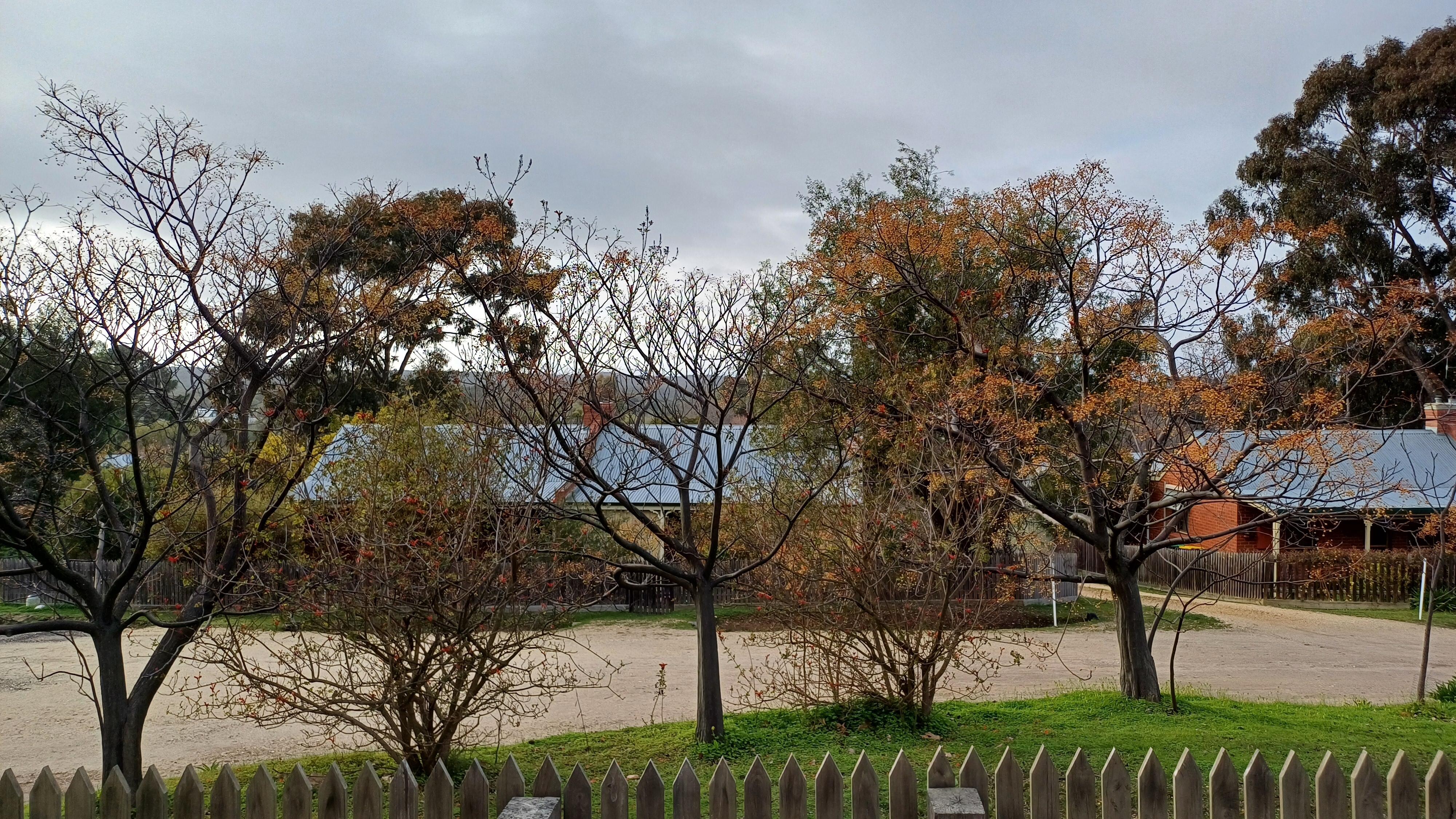 The view from the front verandah