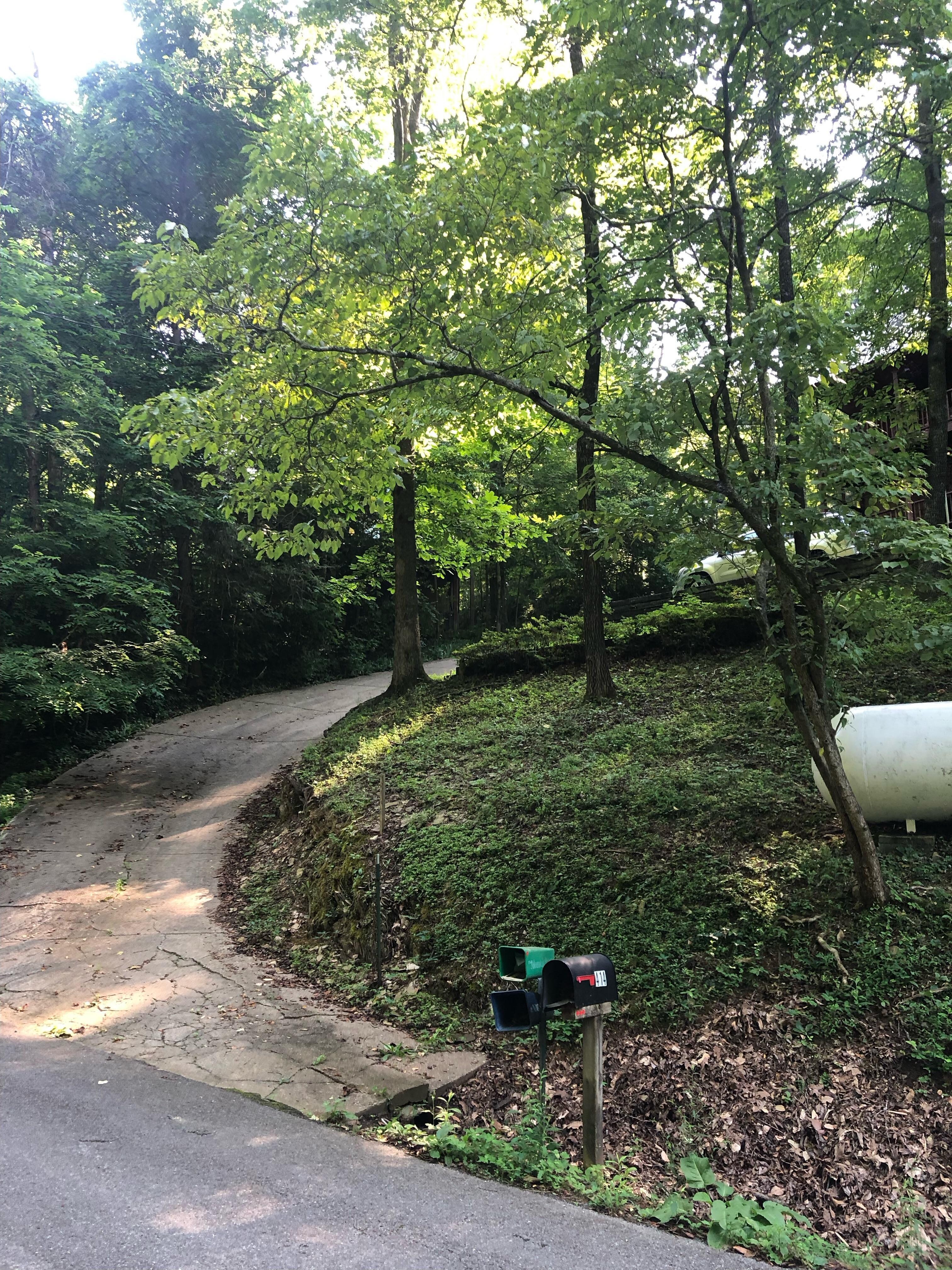 Steep driveway