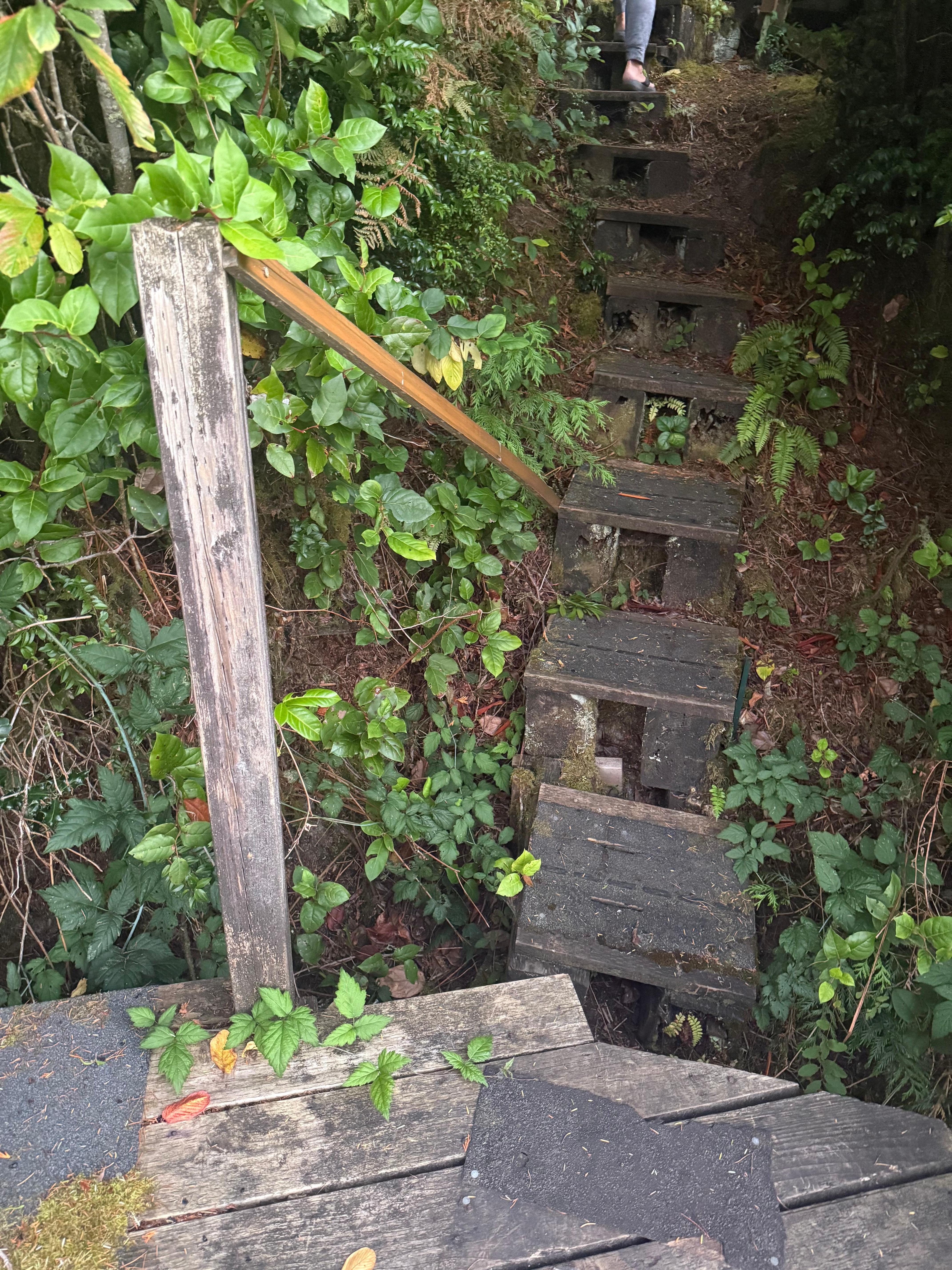 Rotten wood and slanted stairs. No hand railing 