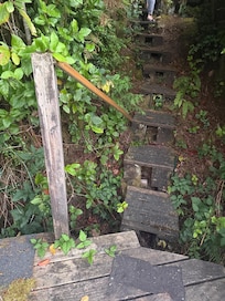 Rotten wood and slanted stairs. No hand railing