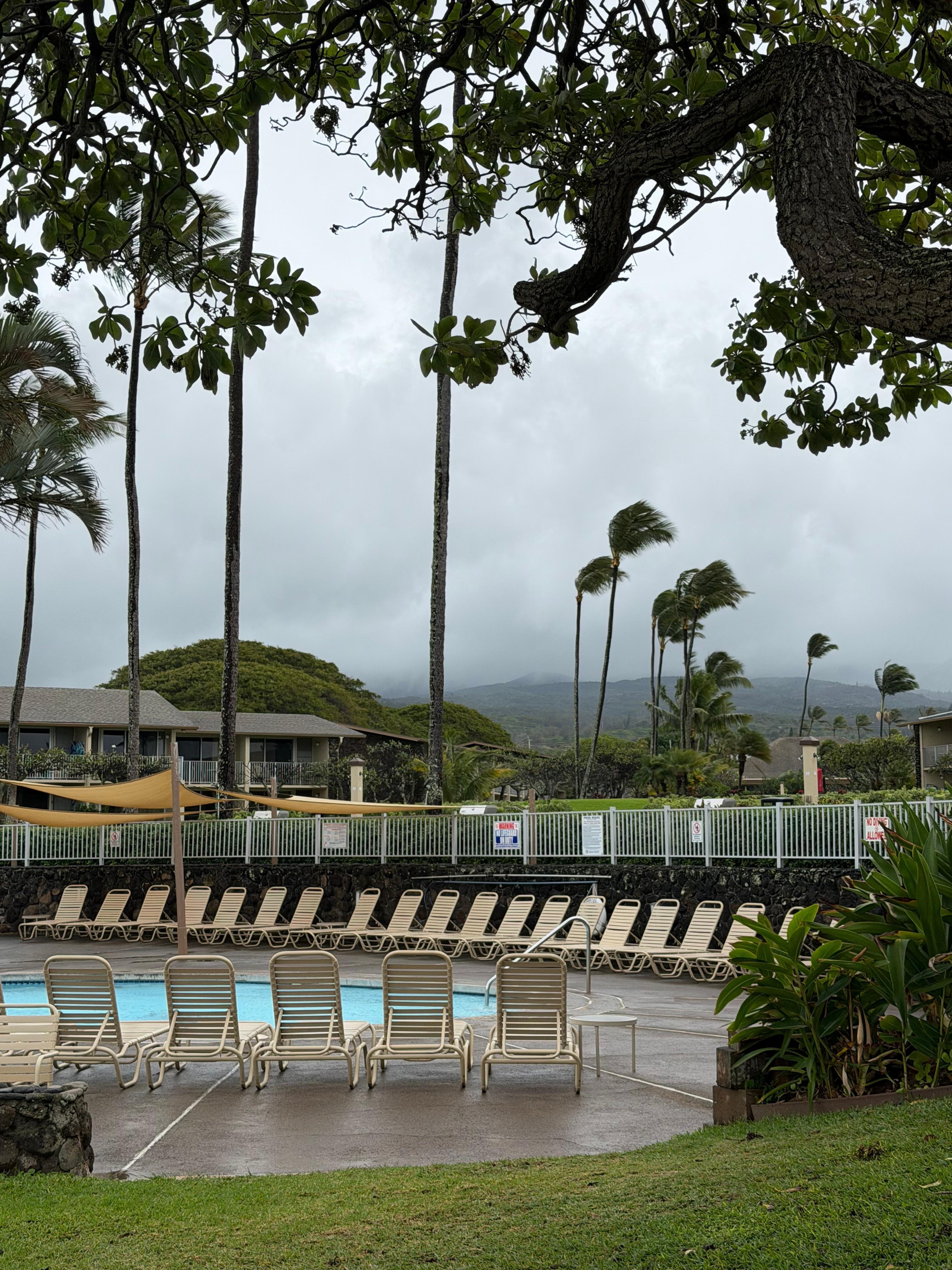 Pool area right next to the Gazebo restaurant and steps away from building A where this unit is located. 