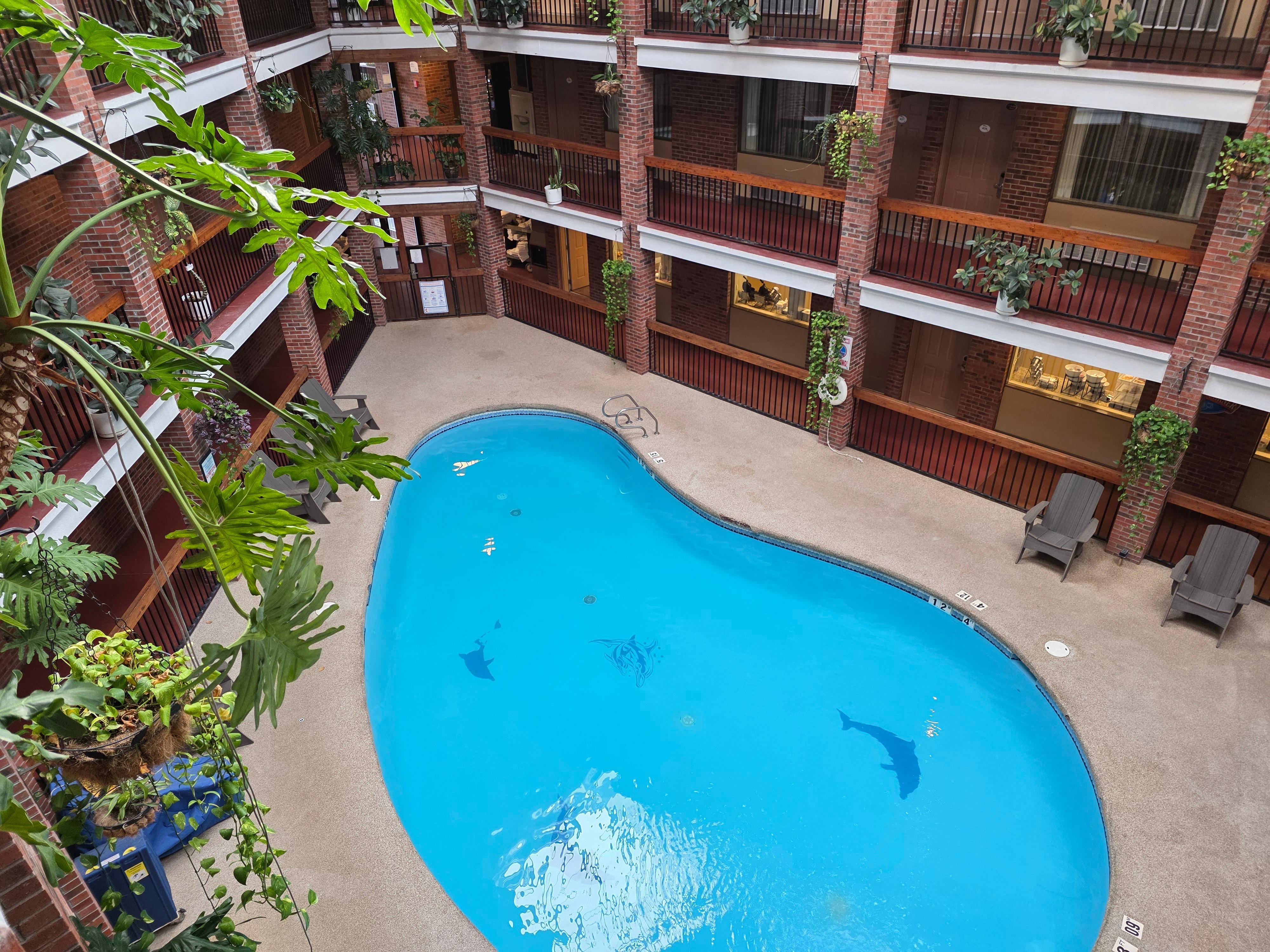 Indoor pool area