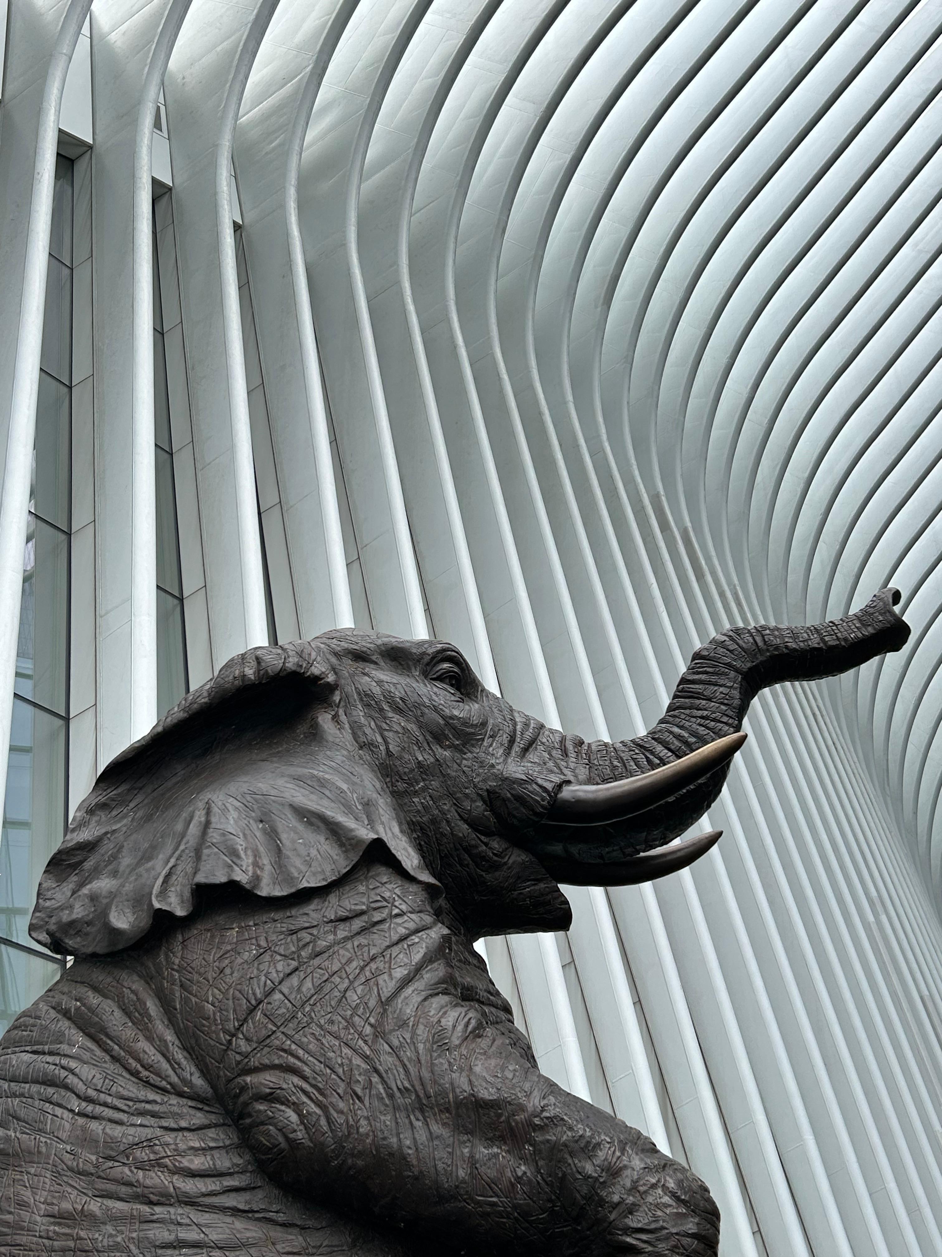 Sound the Horn!
Mall at WTC/Freedom Tower is beautiful! 