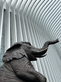 Sound the Horn!
Mall at WTC/Freedom Tower is beautiful!