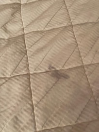 Bedspread looks like it was used as grease rag.