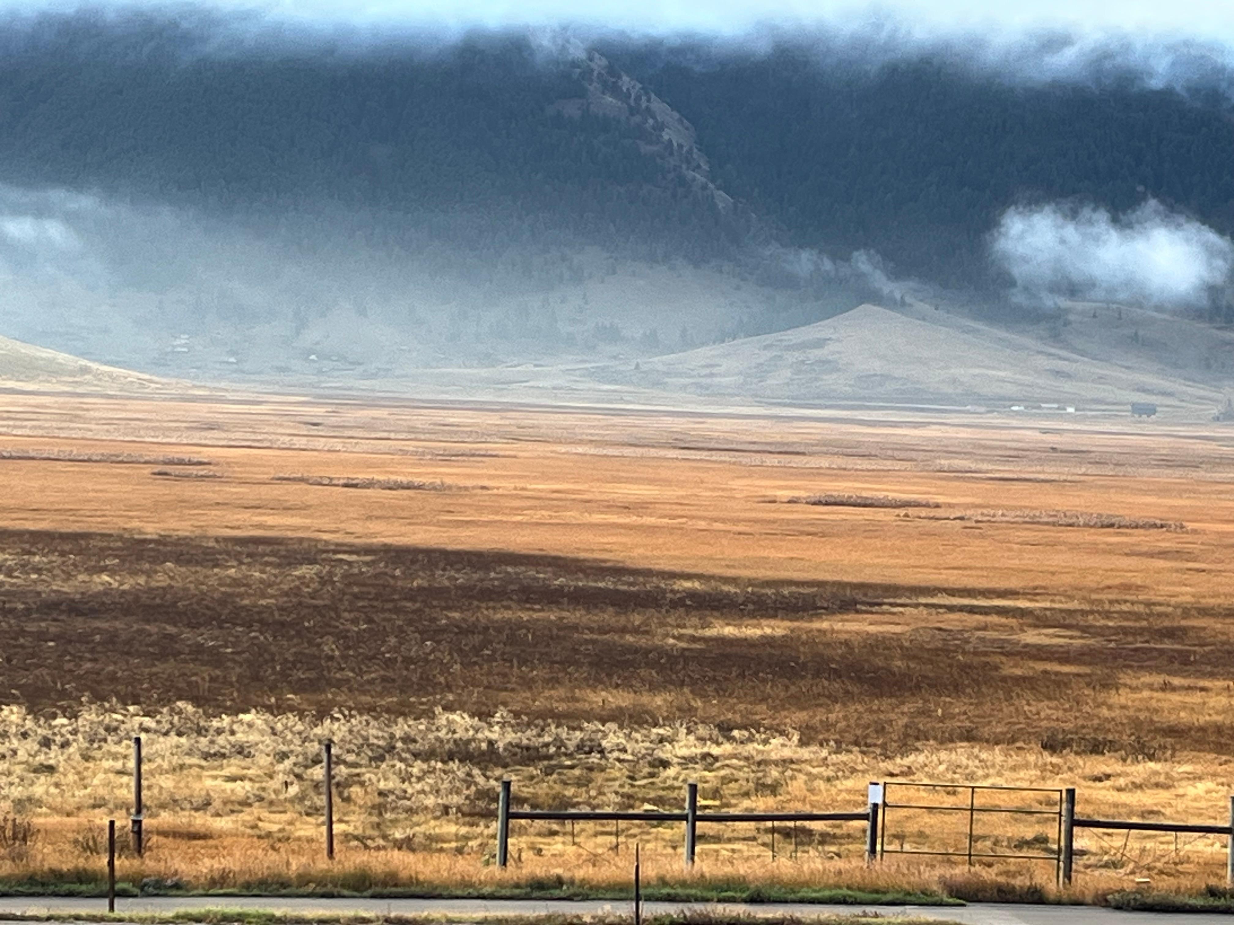 View from our room in Autumn 