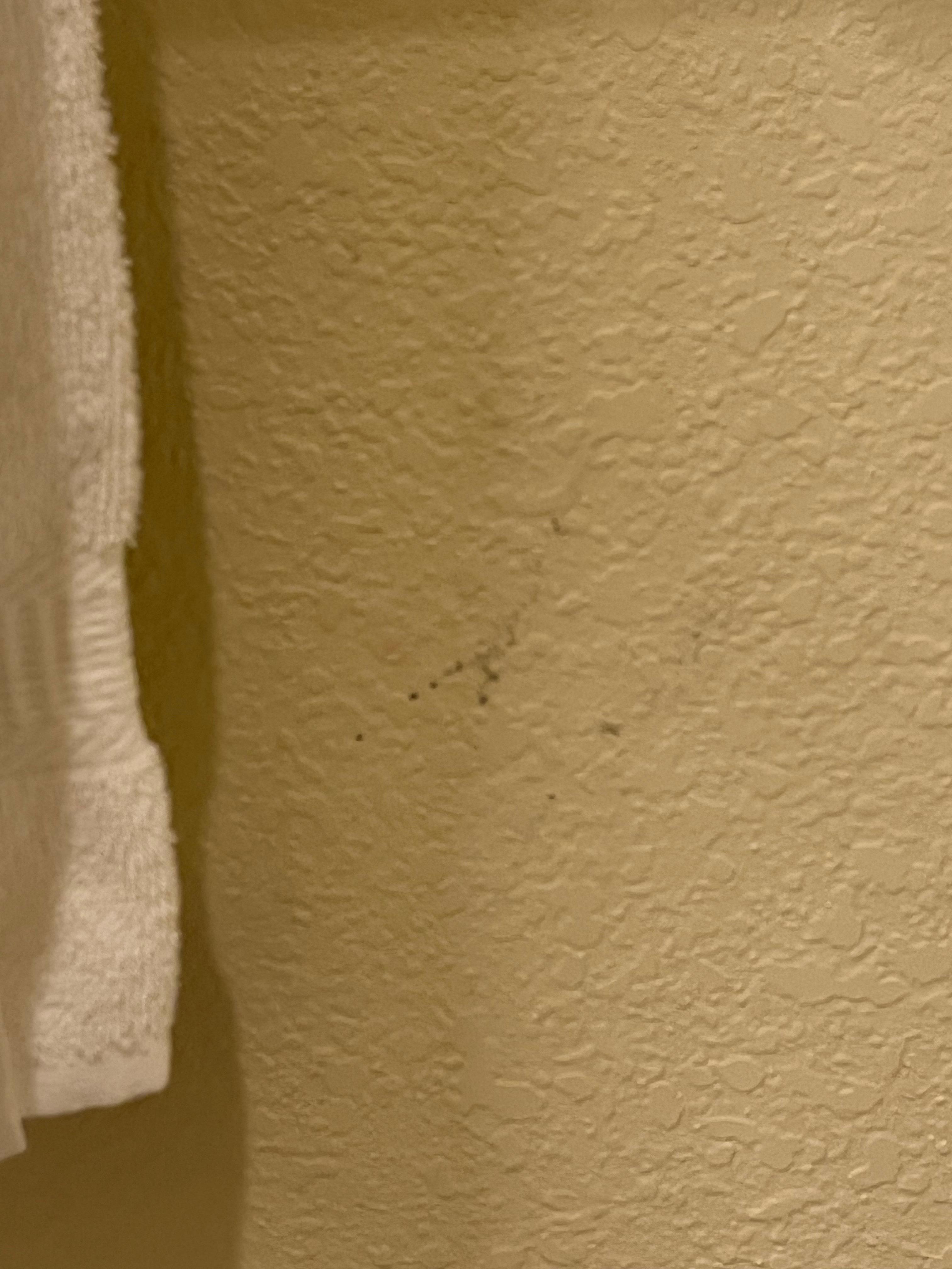 Stains on wall