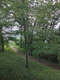 View from our porch