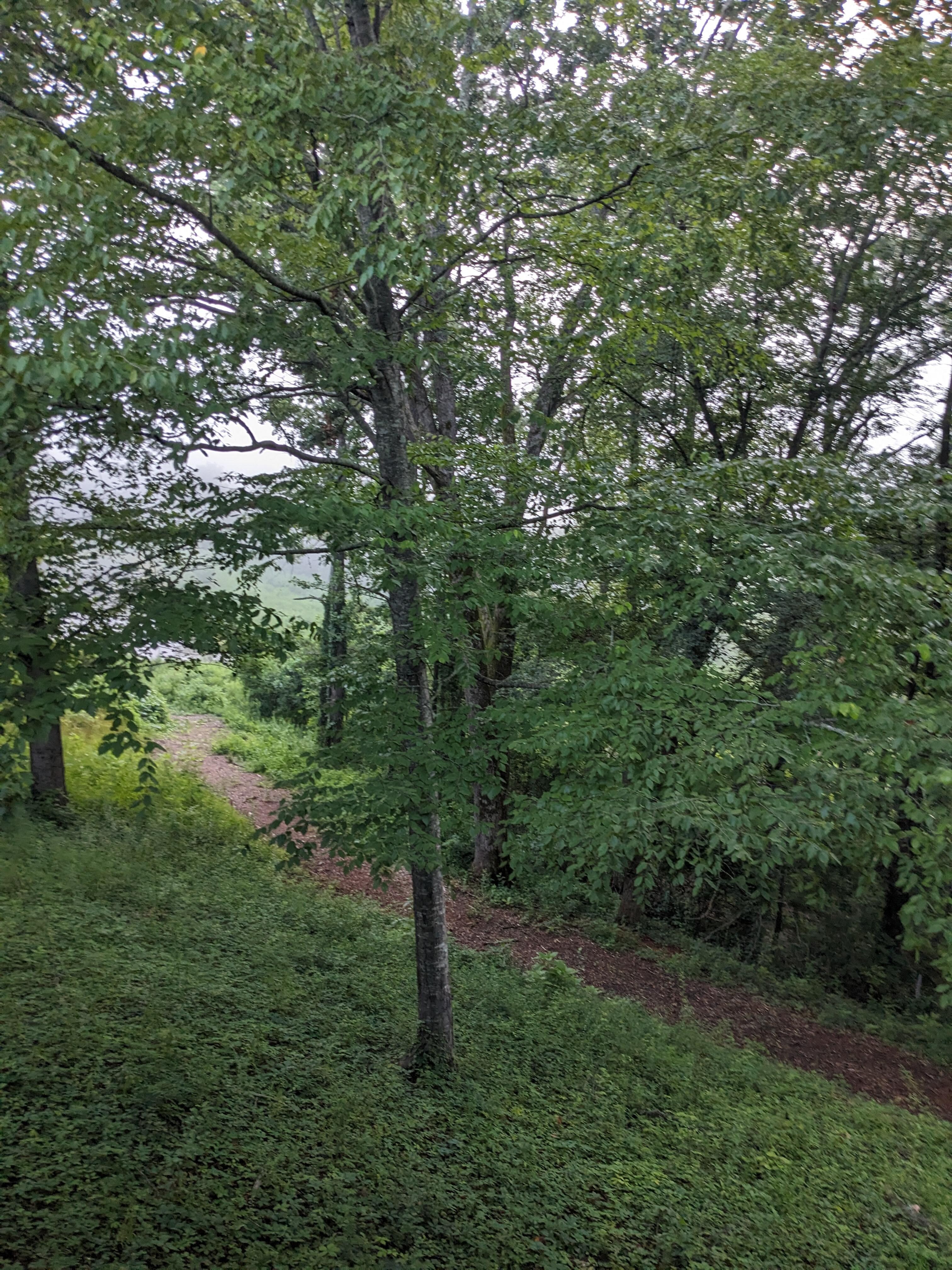 View from our porch 