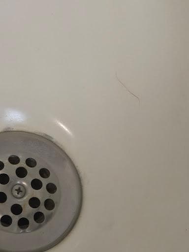 Hairs in shower drain from previous guest.