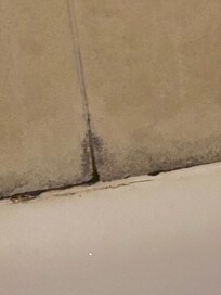 Mold around tub. ☠️