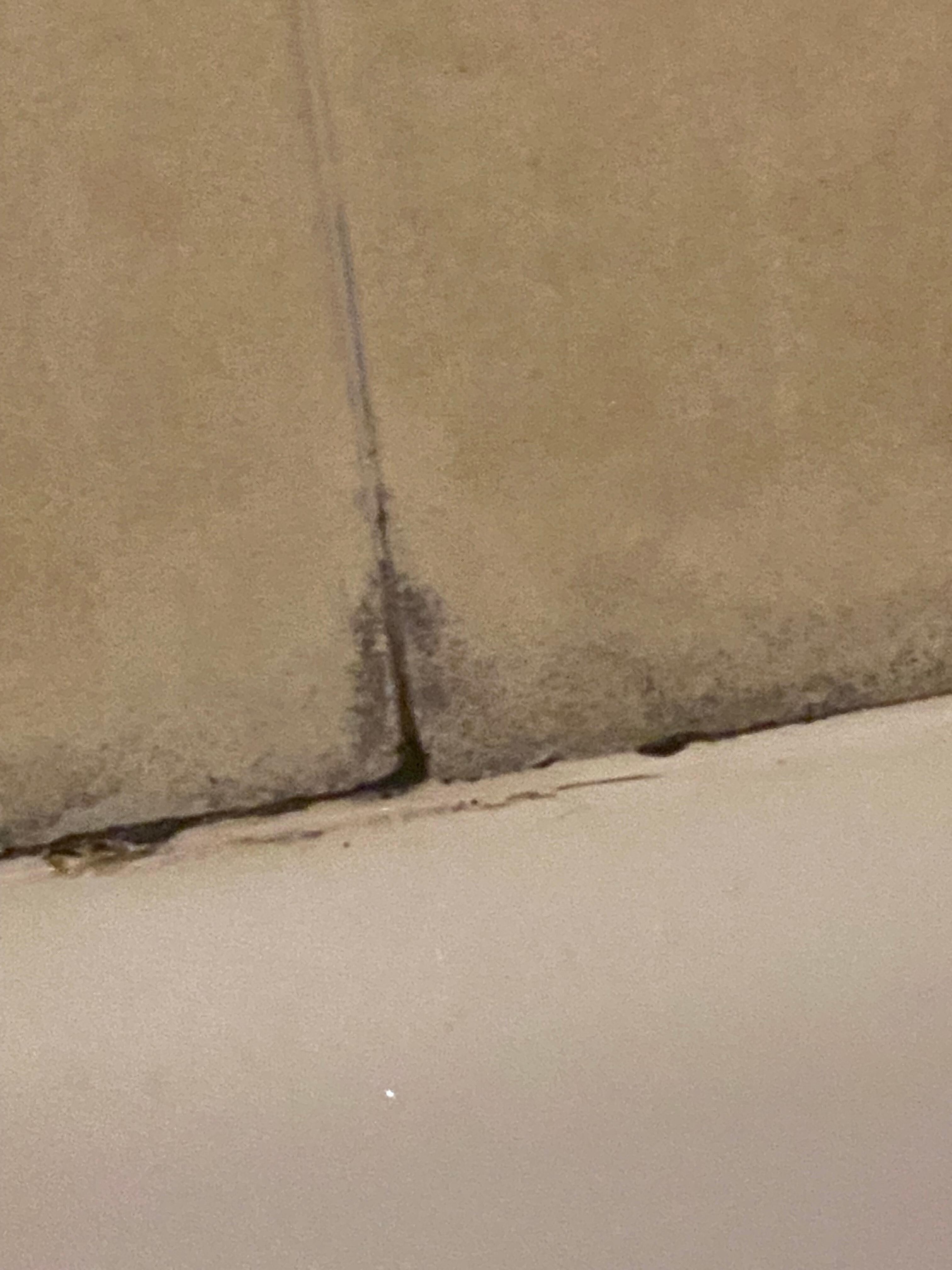 Mold around tub. ☠️