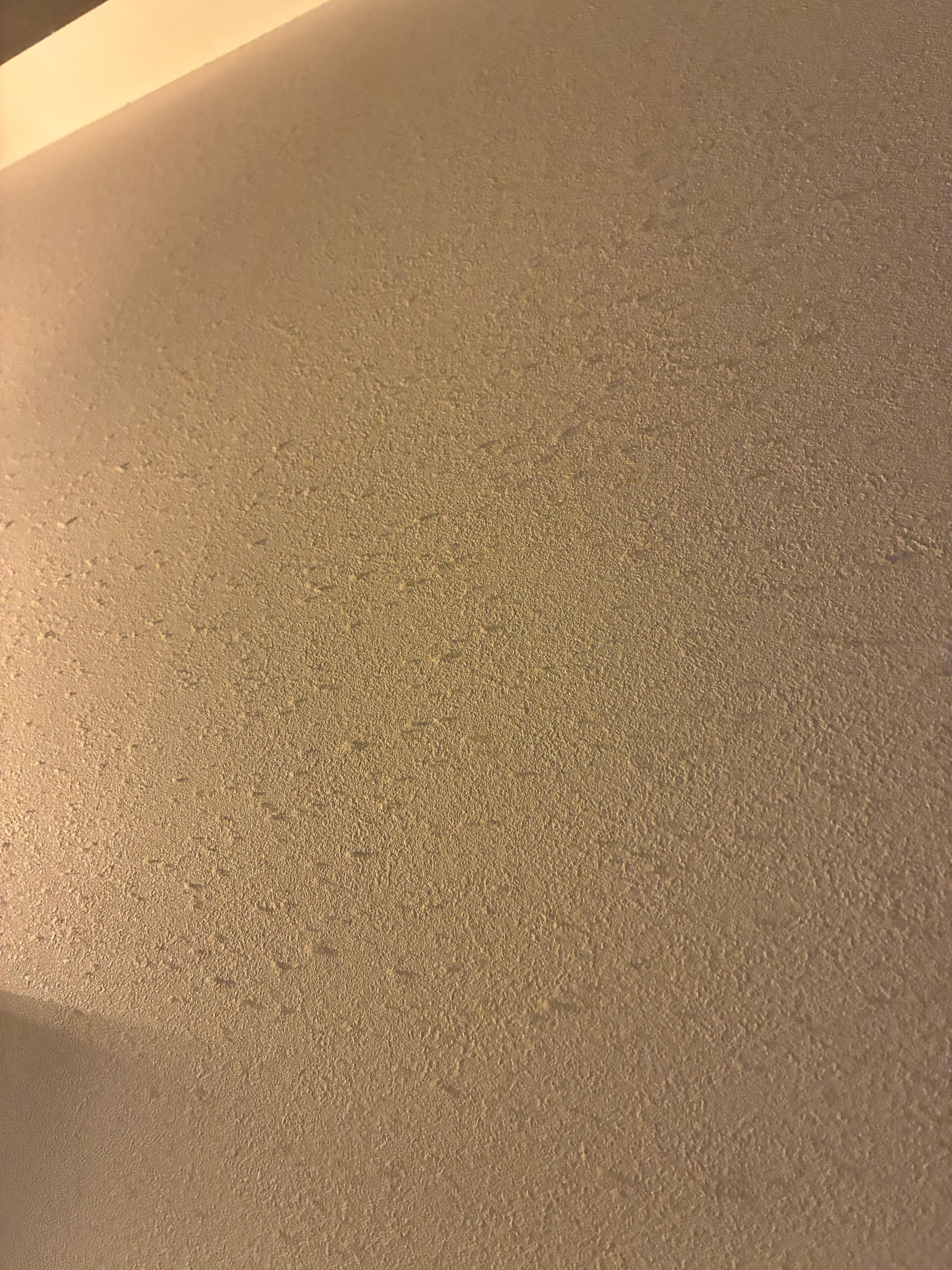 影じゃなく埃です