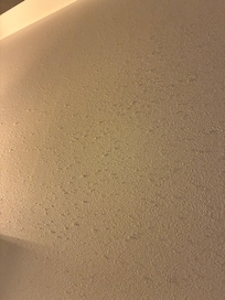 影じゃなく埃です