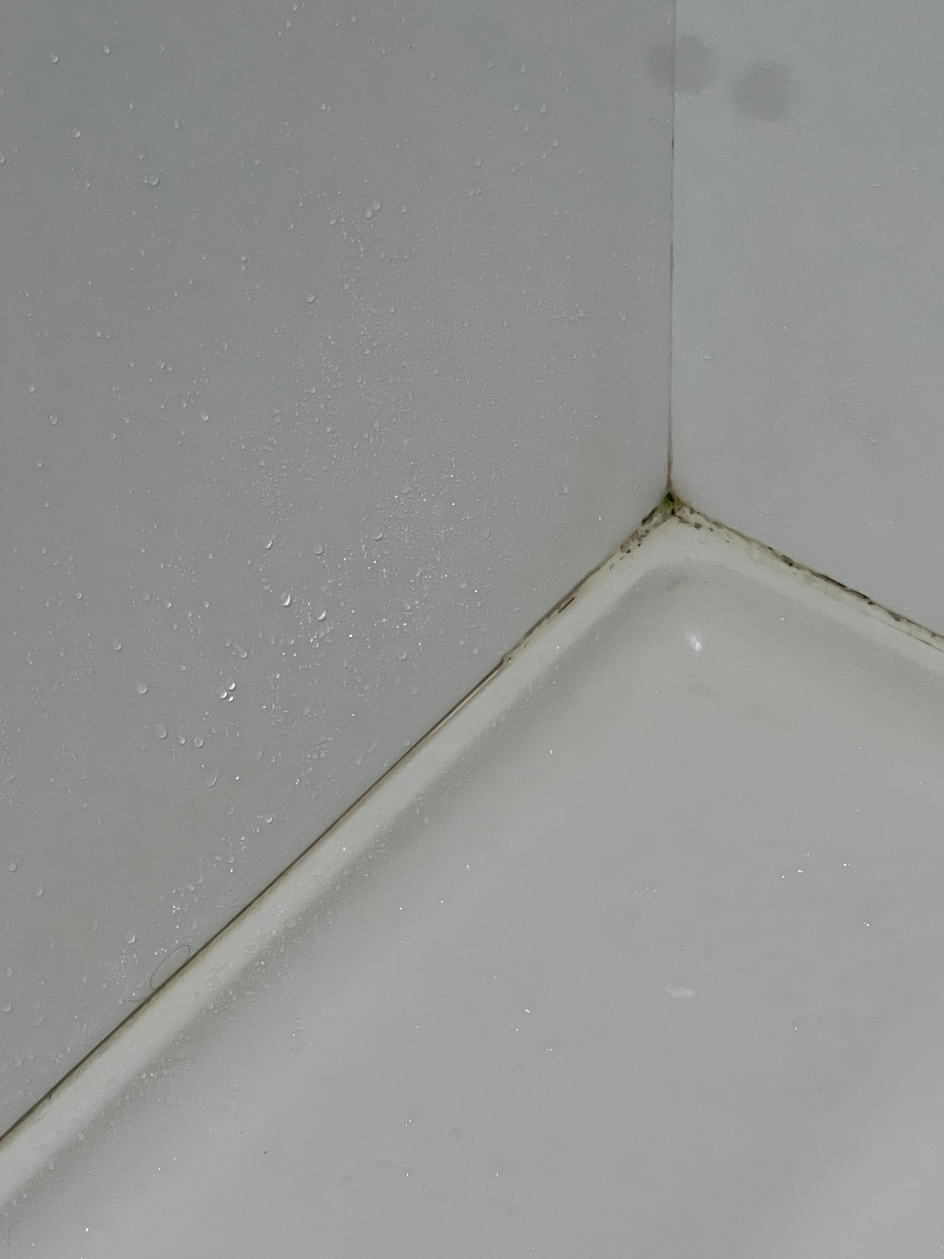Mouldy shower