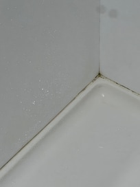Mouldy shower