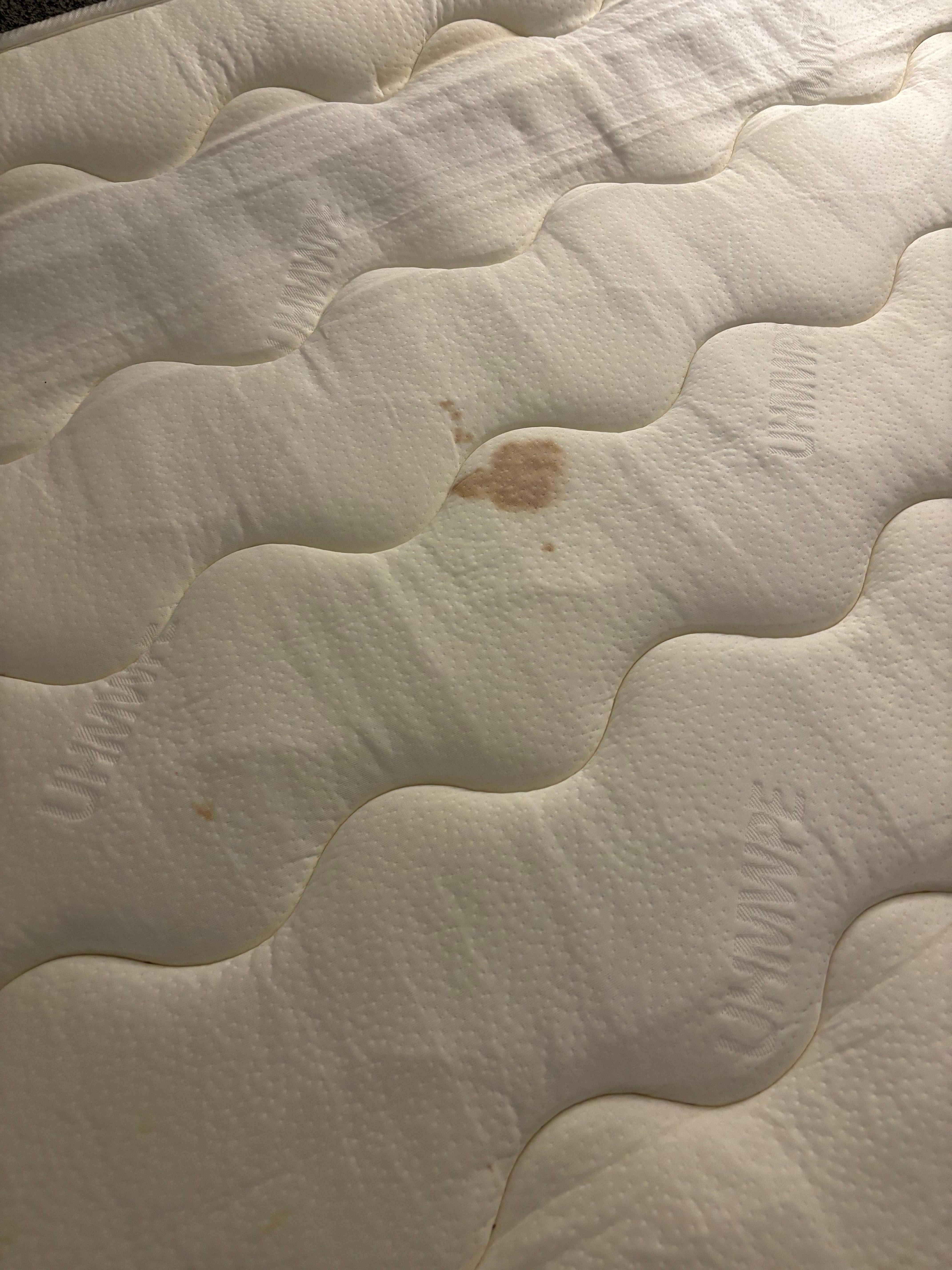 Pull out bed bloodstains 