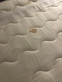 Pull out bed bloodstains