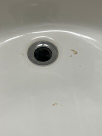 snot inside the sink