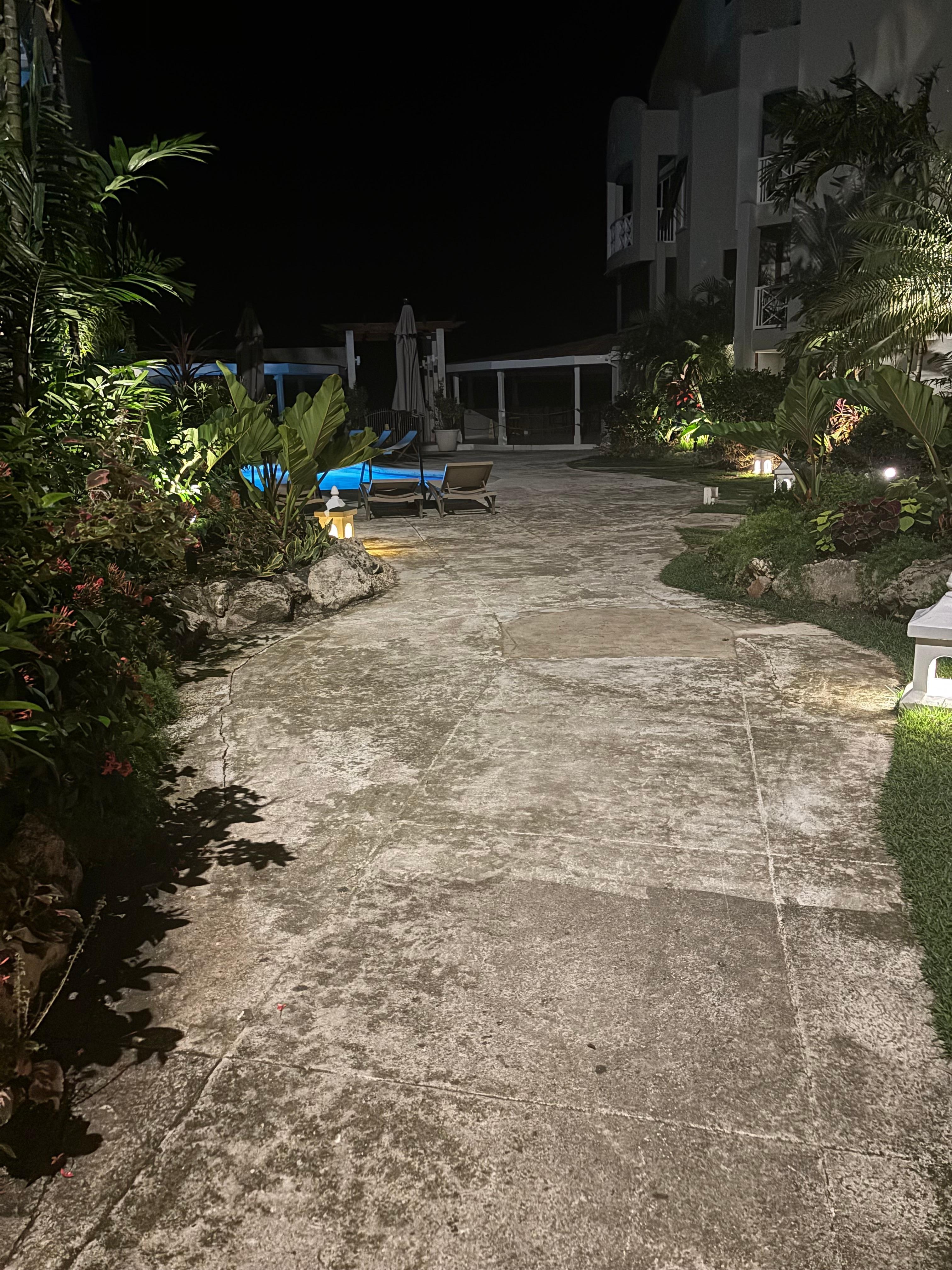 Garden view at hotel le roy