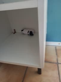 Socken im Schrank, kann nicht gereinigt worden sein😤