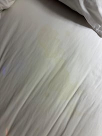 Huge stain and this wasn’t the only one.