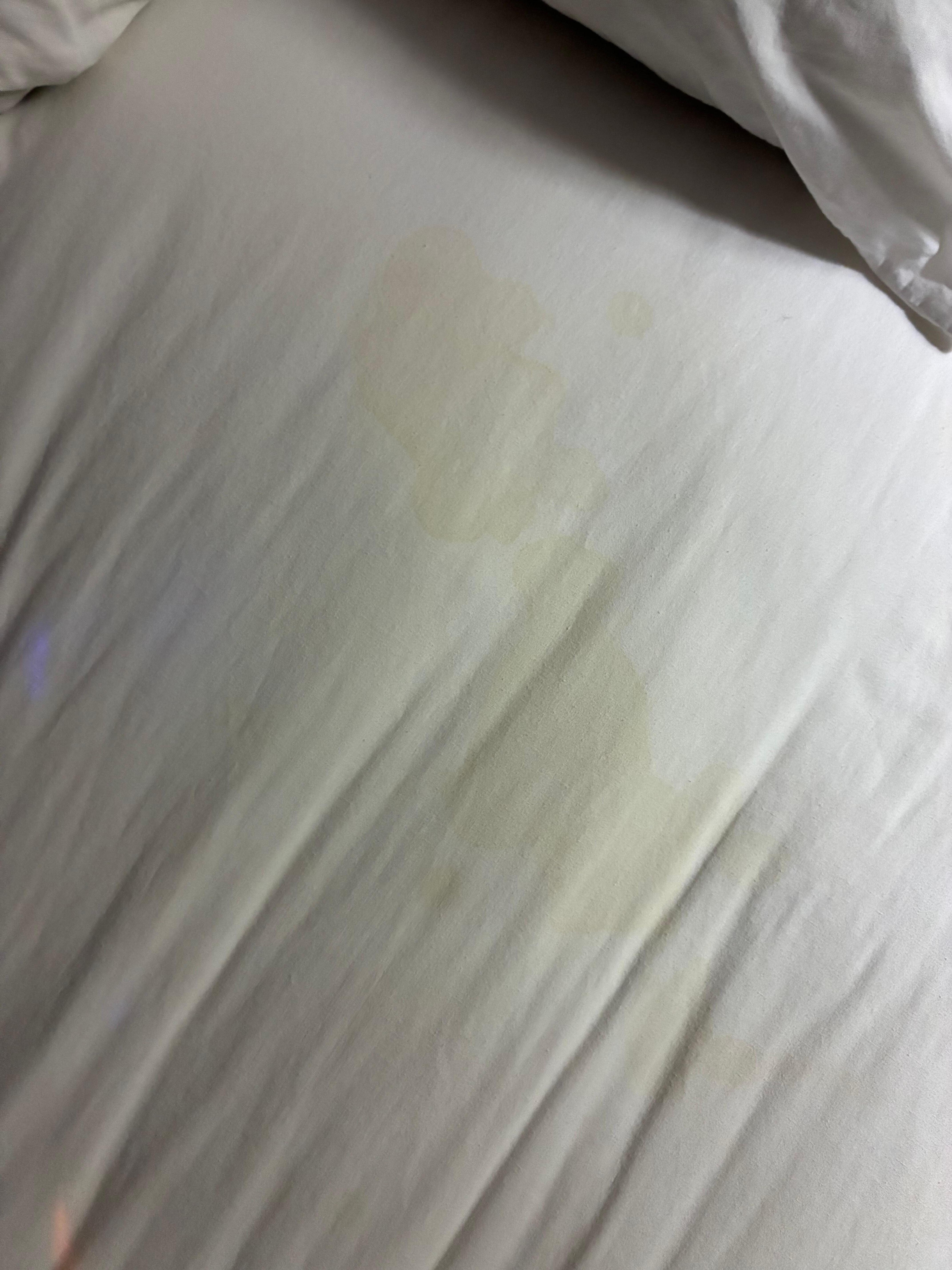 Huge stain and this wasn’t the only one. 