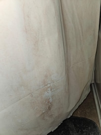 Mold on shower curtain 2
