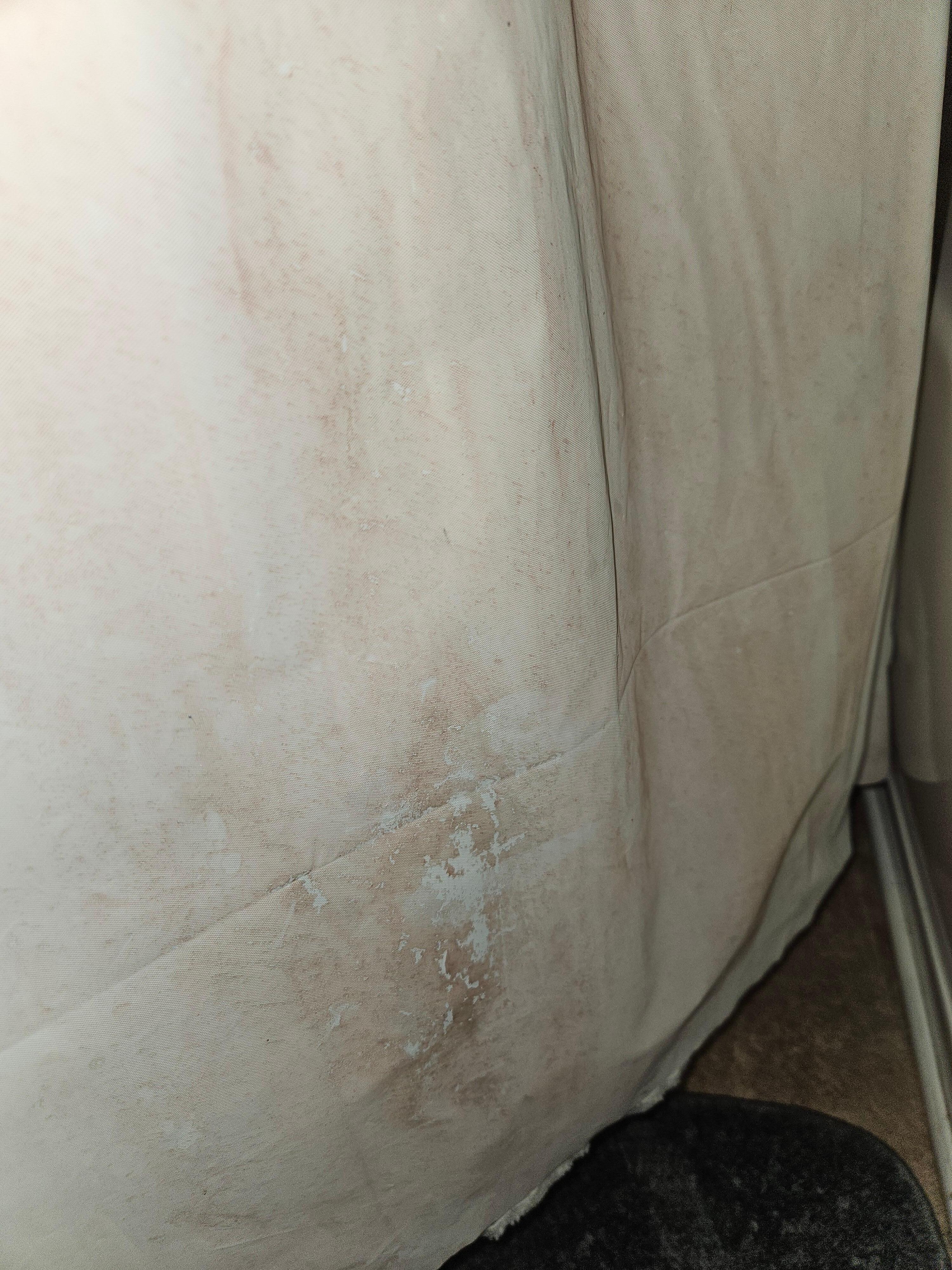 Mold on shower curtain 2
