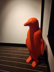 This guy kept moving around the hall