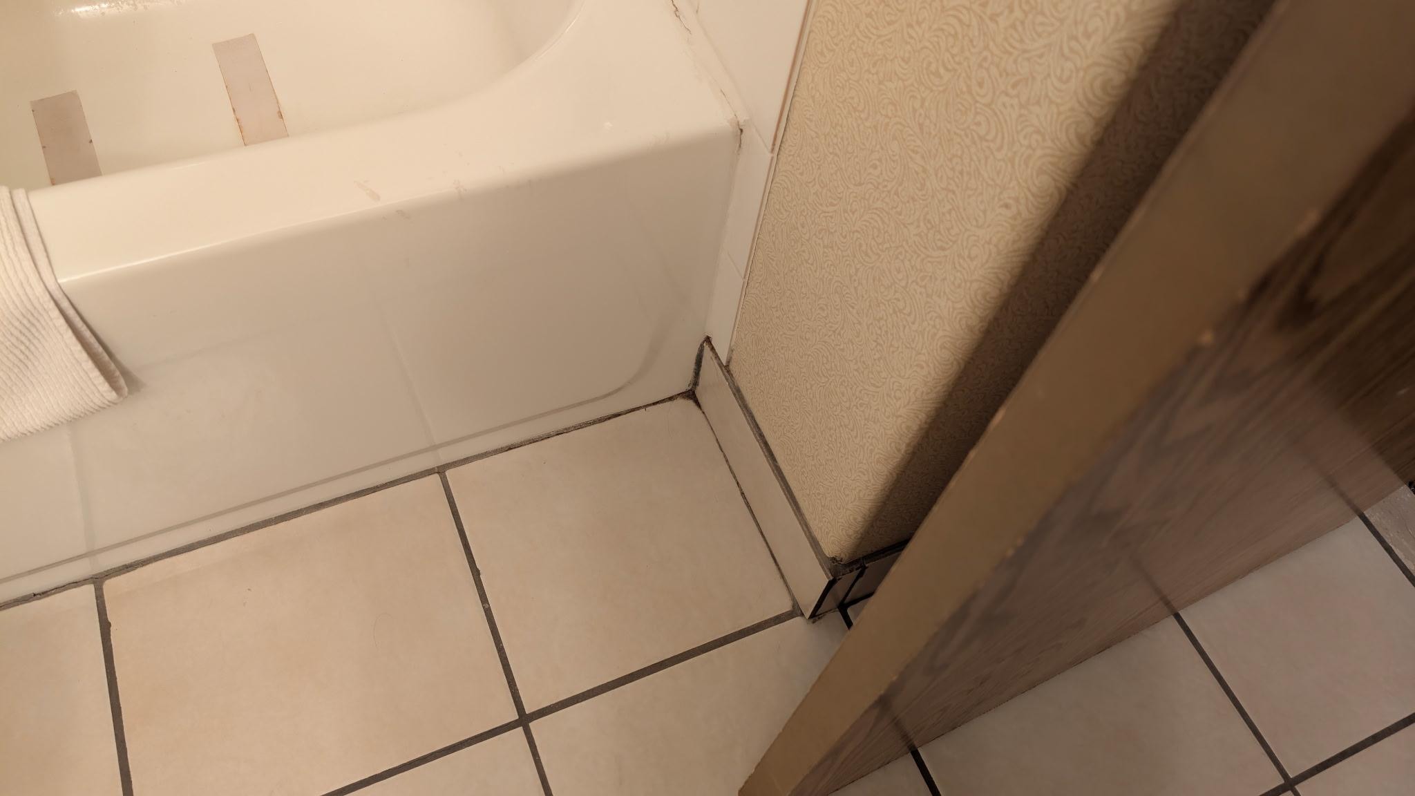 Mold and dirt around the tub