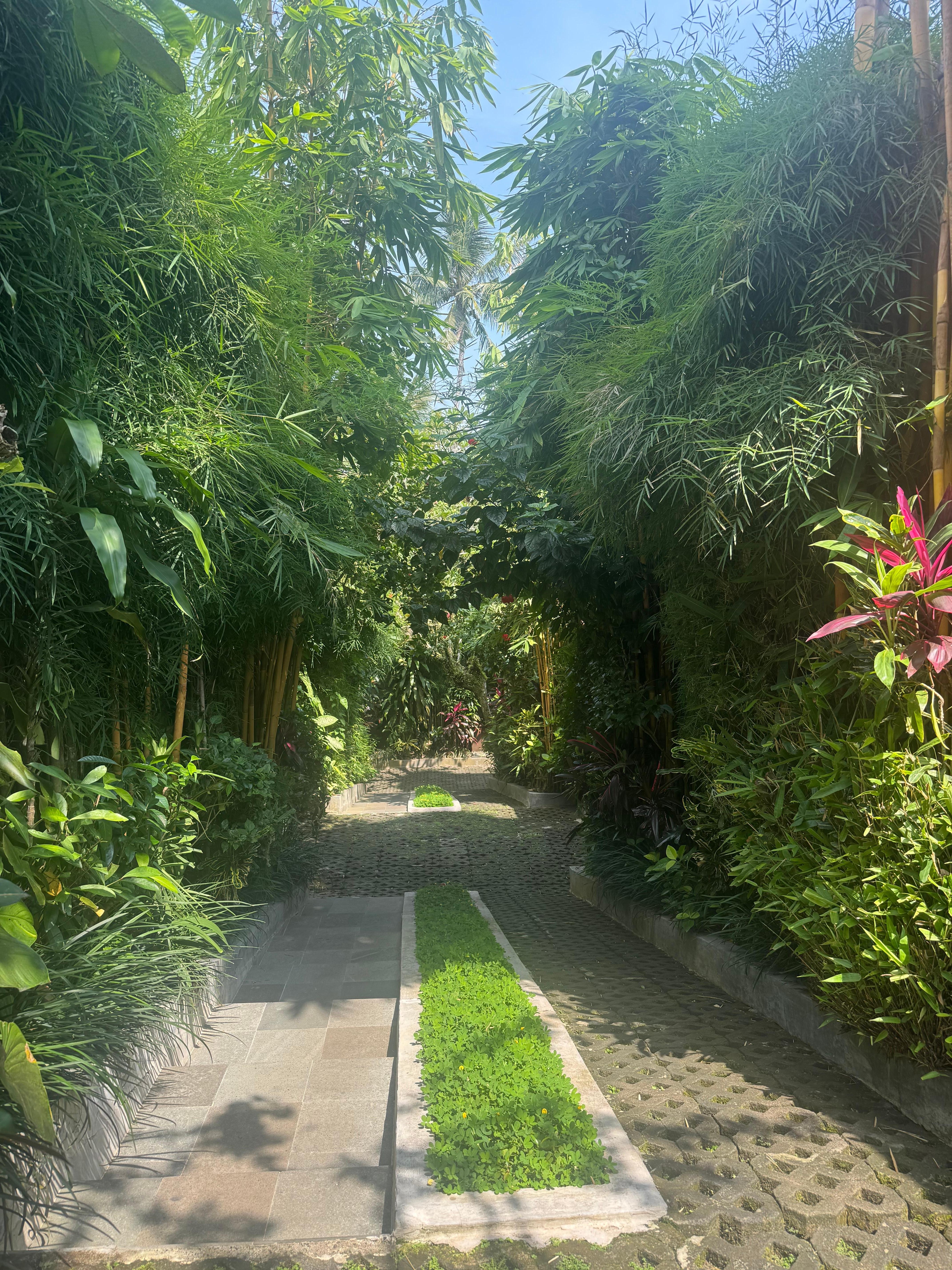The walkway to get to the villas.