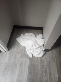dirty towels on floor