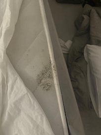 top of one matress looks like growth of some kind.