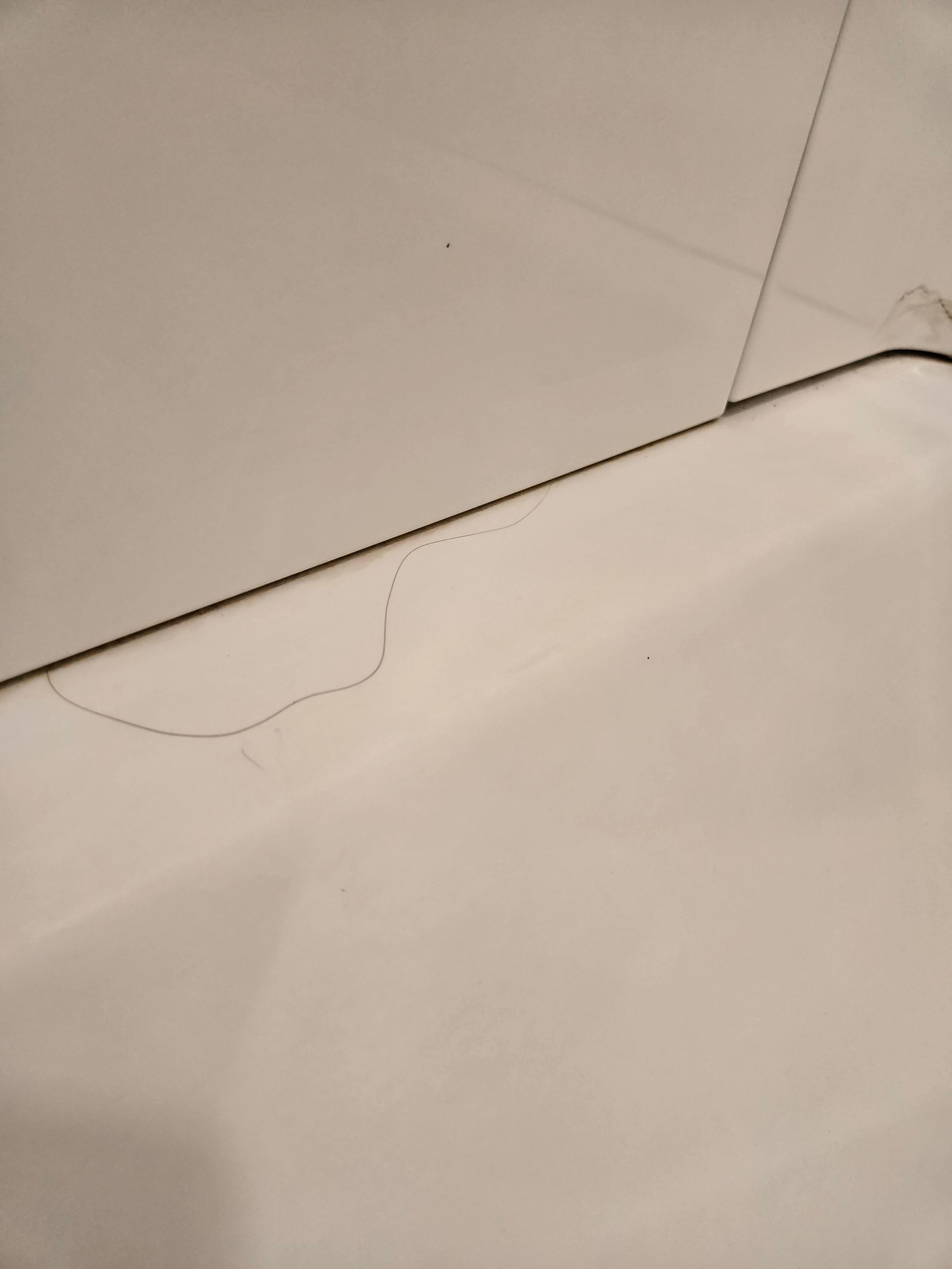Hair in the shower