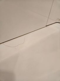 Hair in the shower