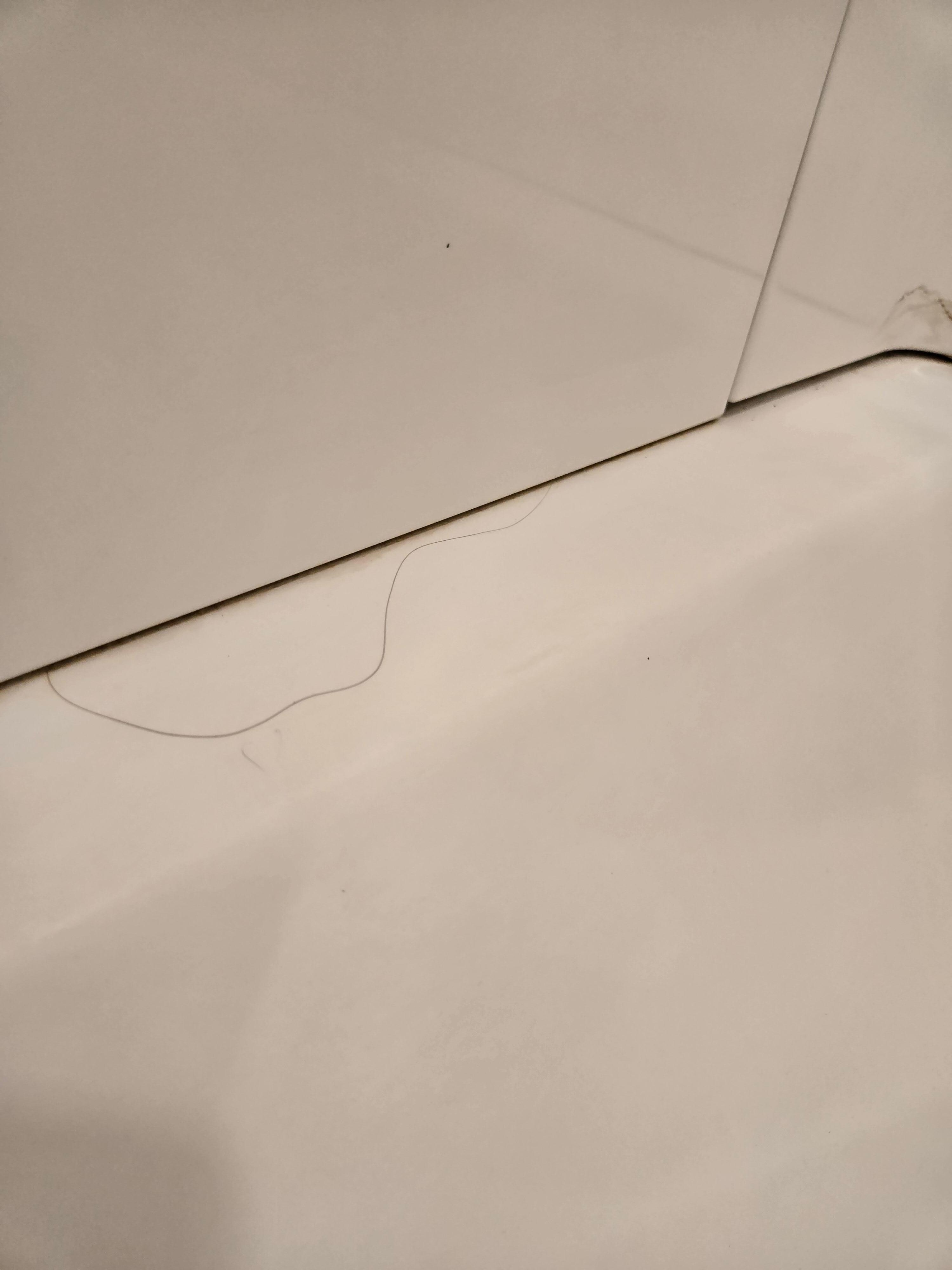 Hair in the shower