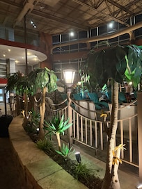 Piscine avec spa