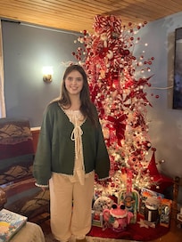 Christmas tree in Croft B&B relaxing recreation room!