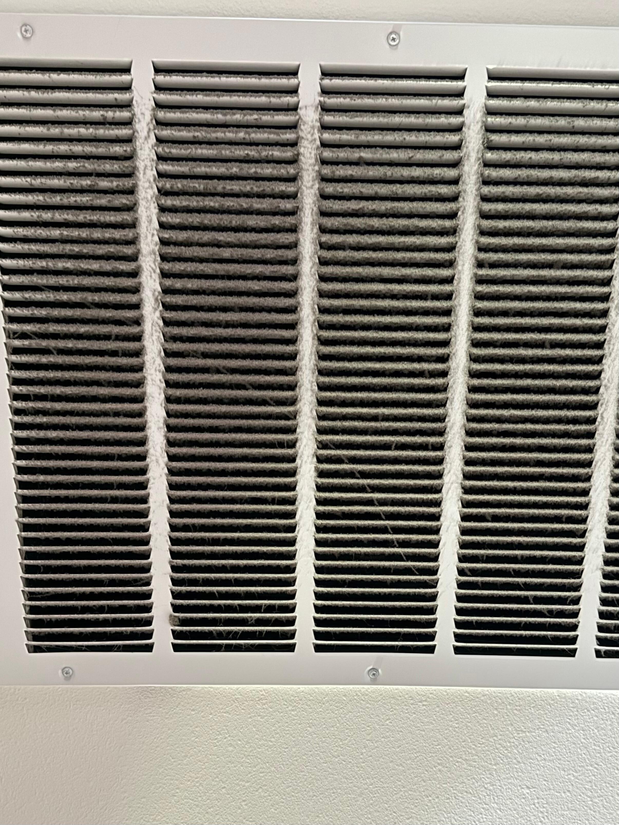 Air Filter black with webs