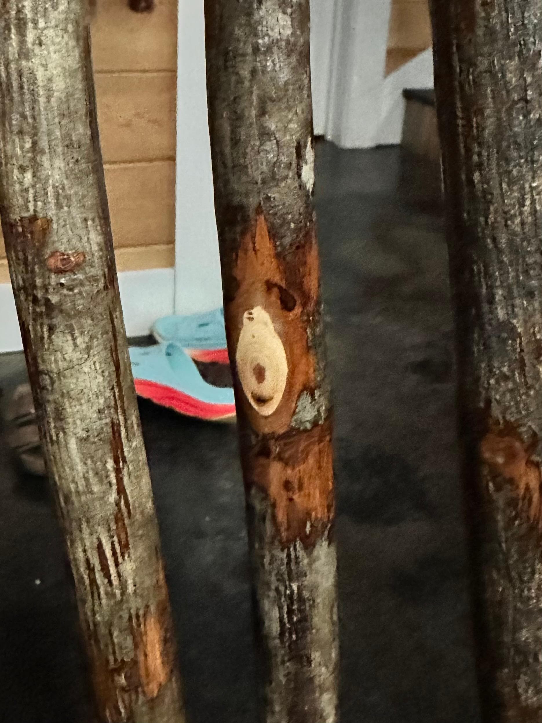 We found this one, too! 😂