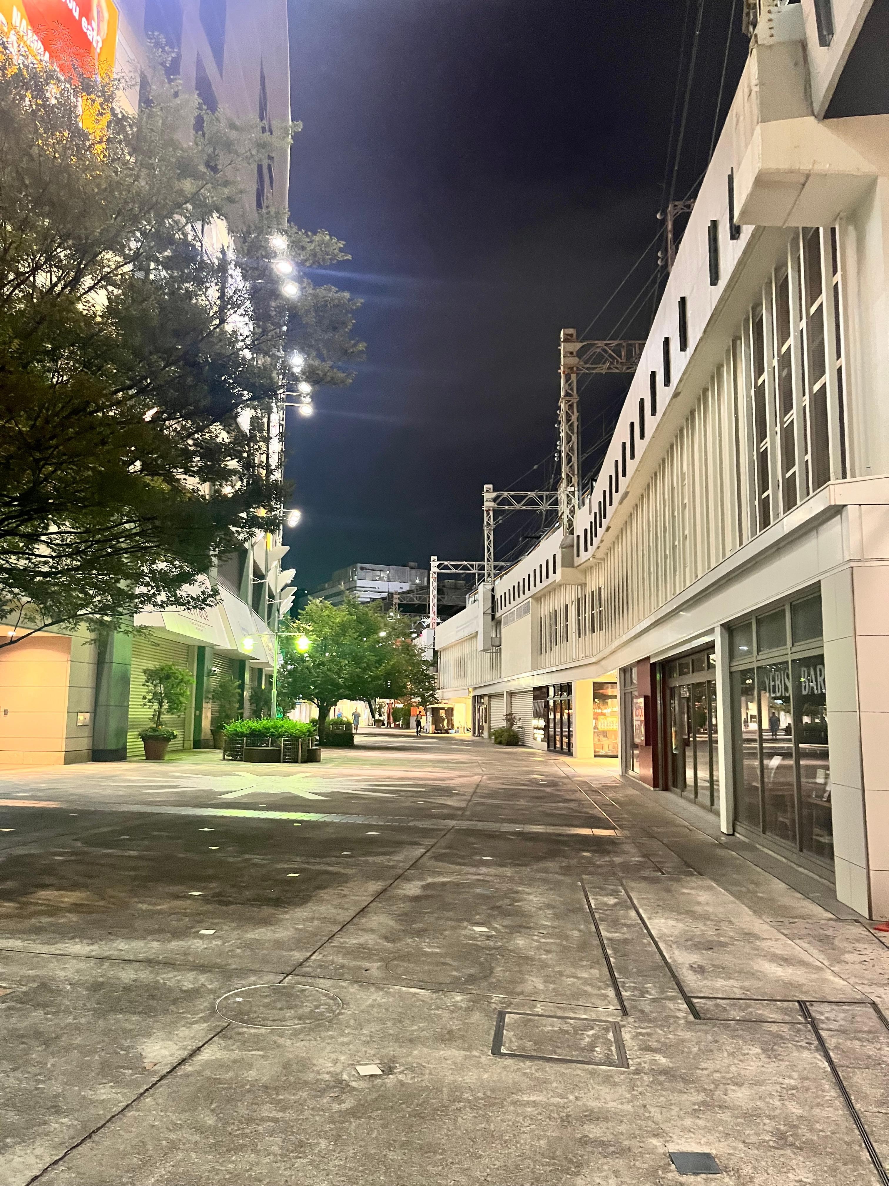 Late night walk back to hotel. This is the strip where the hotel is located. Literally on the way to Namba Station you pass by restaurants and shopping. Easily hop on train or subway to access parts of the city. 