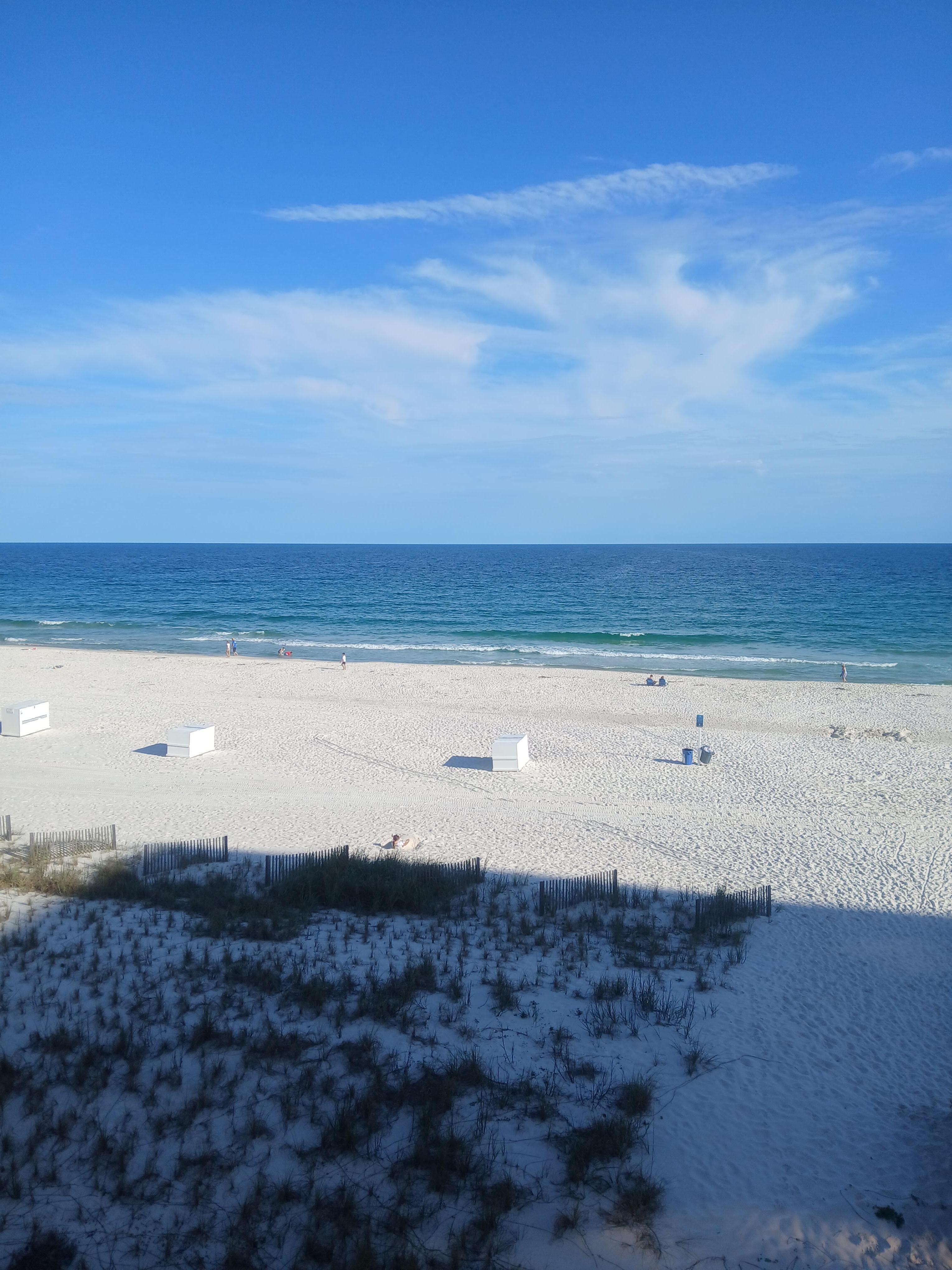View from patio