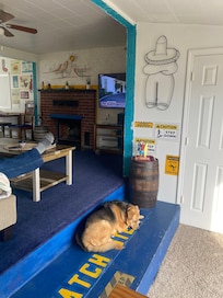 Maddie is watching over the place for us.