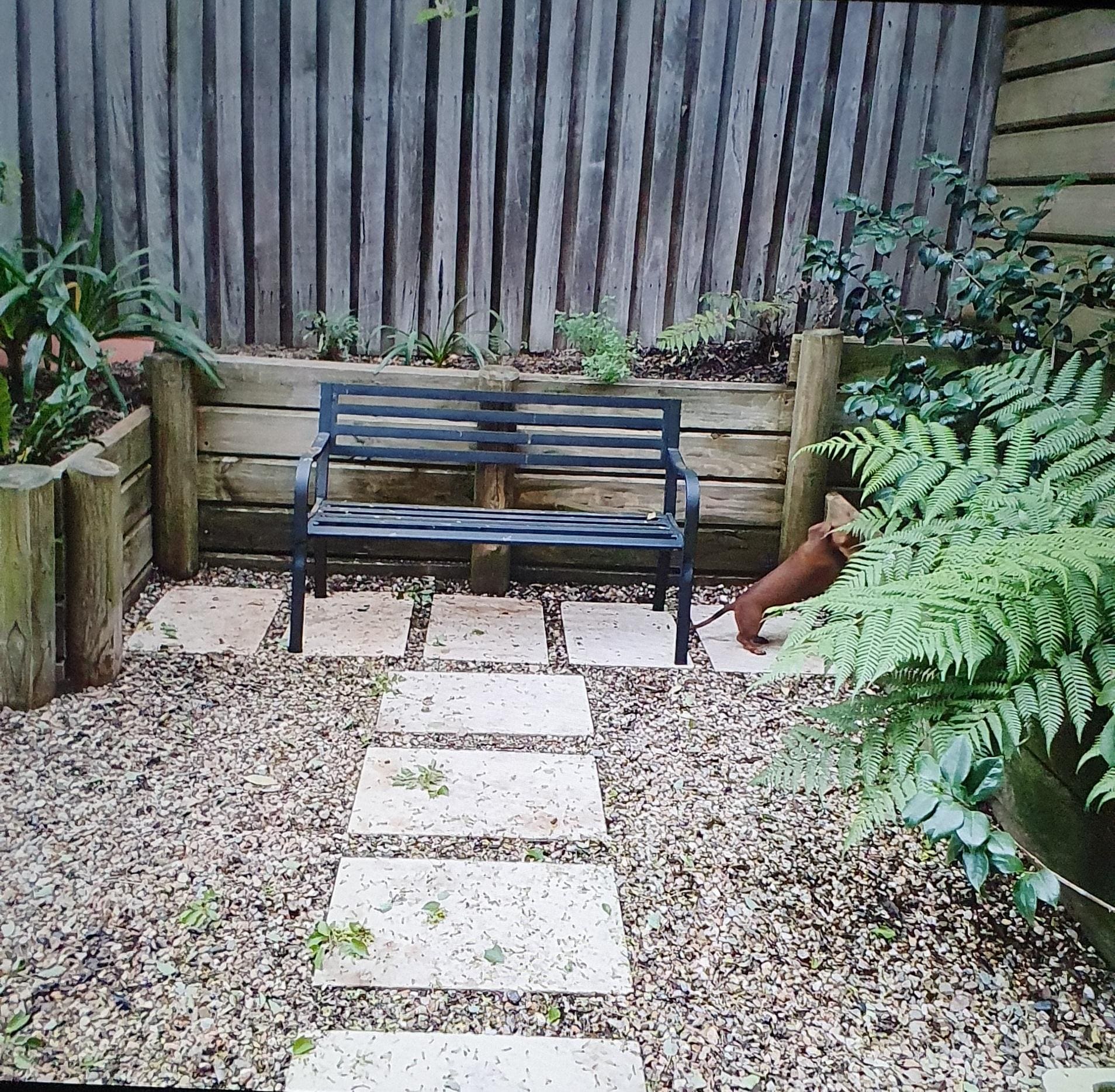 Bailey sniffing out his overnight stay in the picturesque courtyard. 