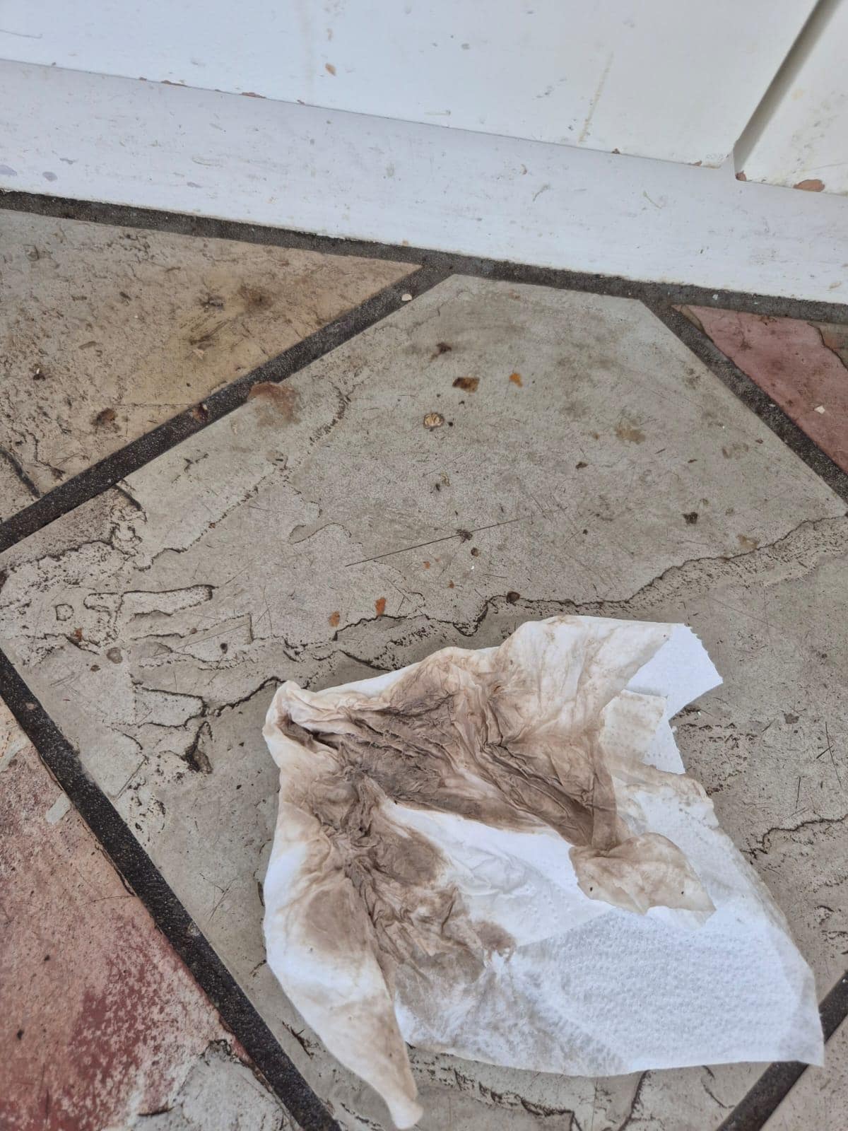 An example of the filthy grime on the kitchen floor. We couldn't get it all off & ended up putting a bathmat over the worst area.