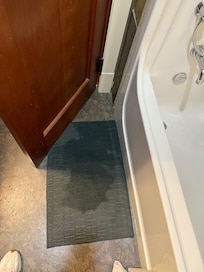 Bathroom mat was wet when we arrived.