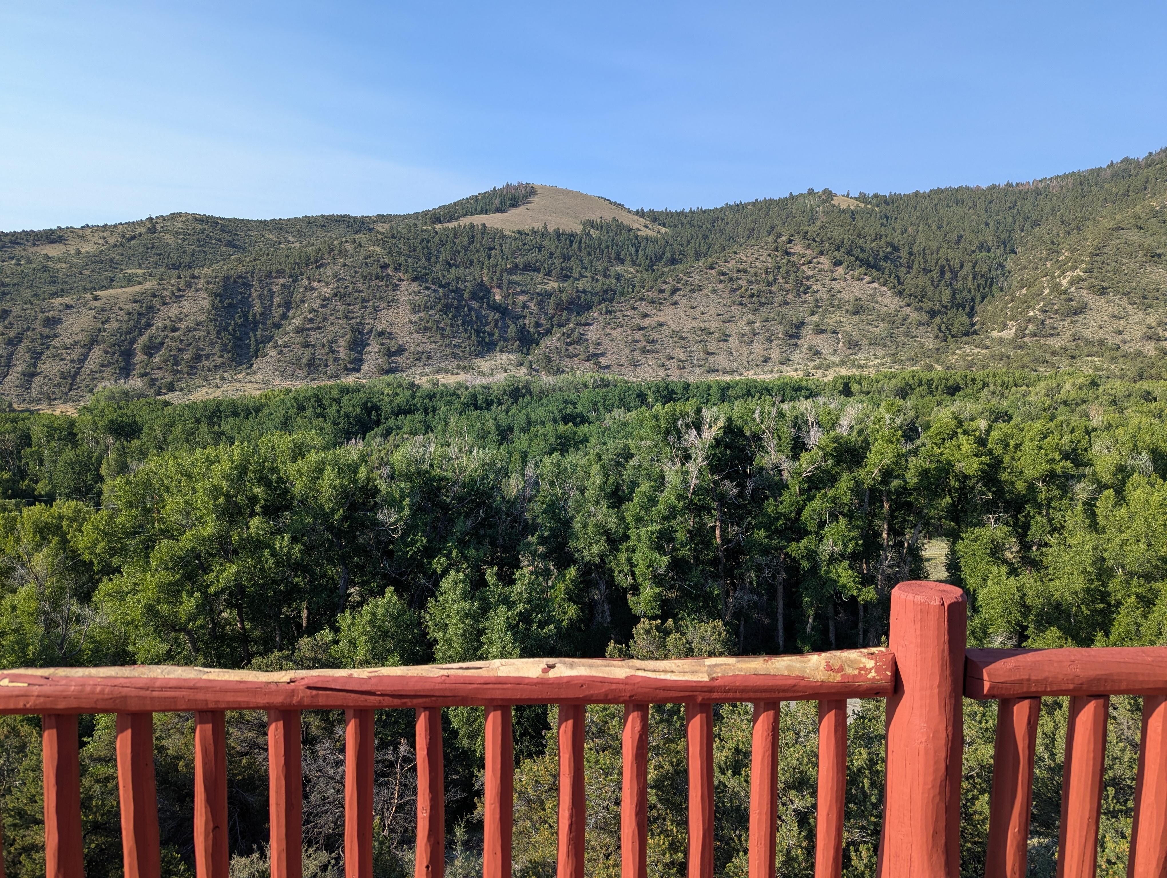 View from the back deck.